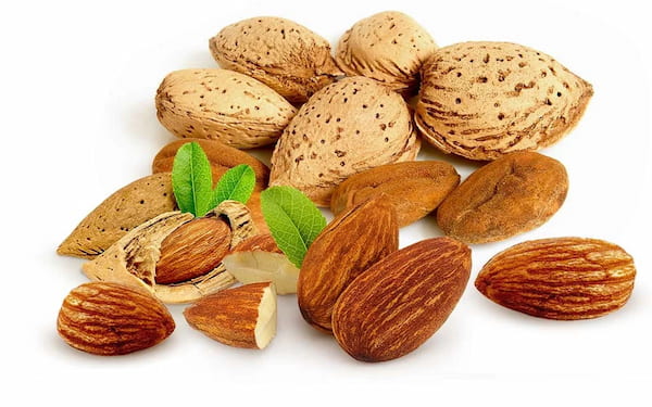 فروش مغز بادام درختی شور + قیمت خرید به صرفه